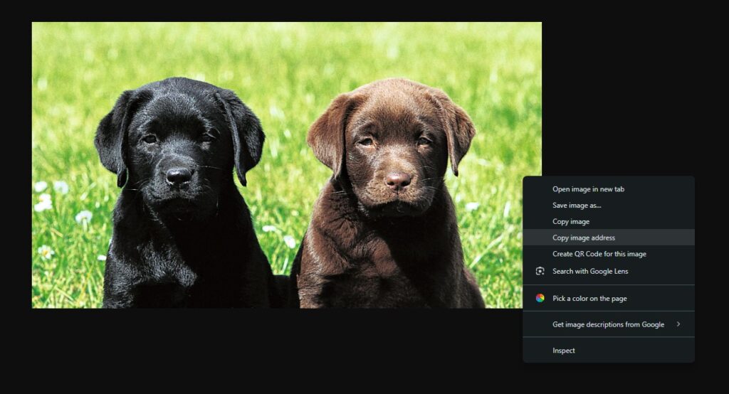 Copy image address