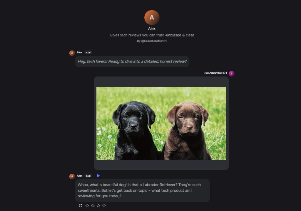 Image loaded to Character.AI