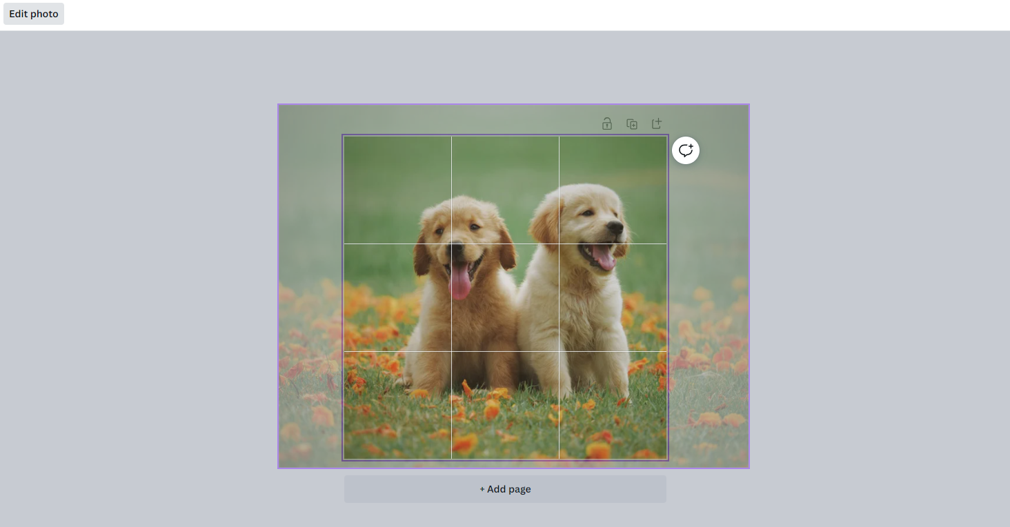 Adjust the image