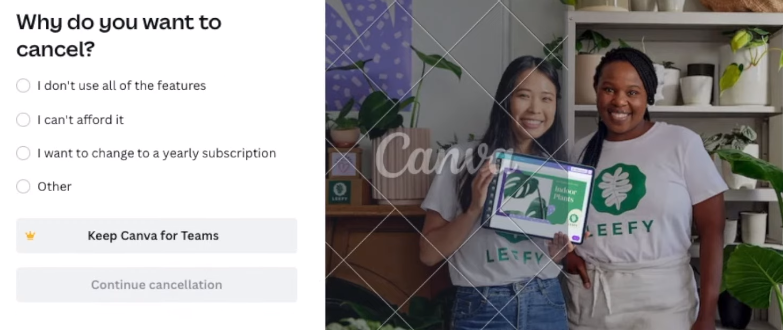 Cancel subscription reason