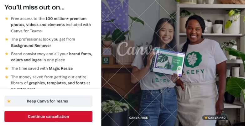 Cancel subscription