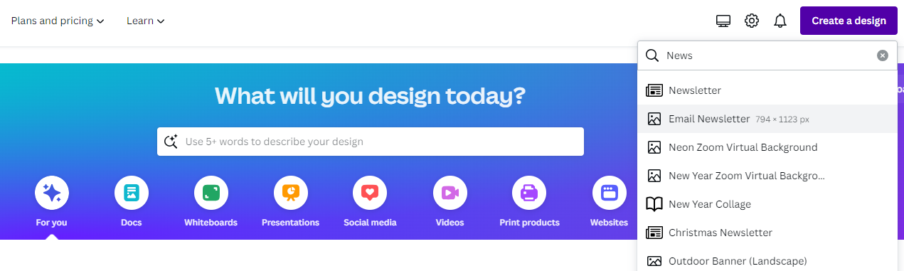 Email Newsletter