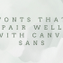 20 Best Outline Fonts in Canva for Stunning Graphics