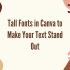 20 Best Italic Fonts for a Touch of Elegance