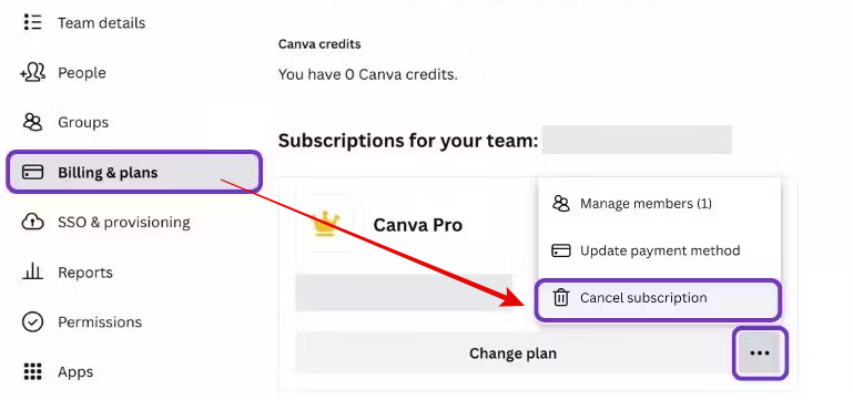 Three dots - Cancel subscription drop down