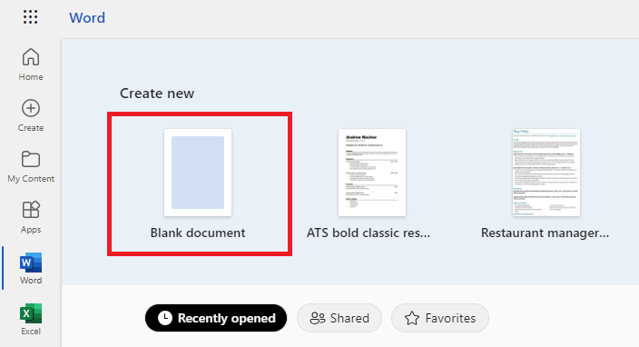 Word blank document